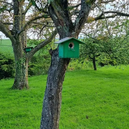 La Ferme D'estelle