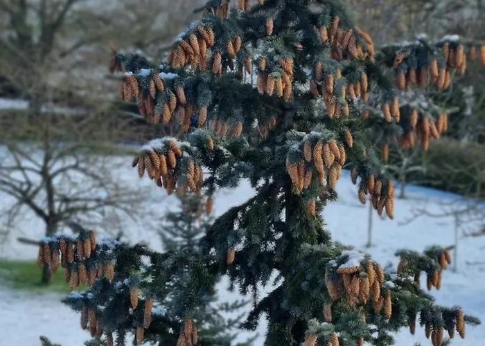 La Ferme D'estelle Holiday home Vulmont