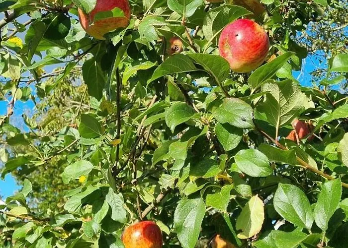 Holiday home La Ferme D'estelle *